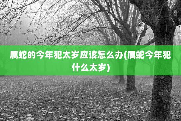 属蛇的今年犯太岁应该怎么办(属蛇今年犯什么太岁)