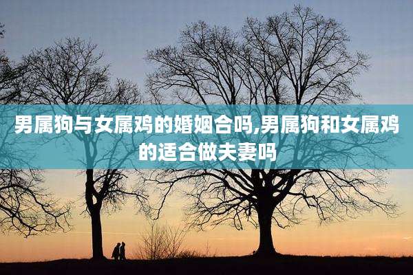 男属狗与女属鸡的婚姻合吗,男属狗和女属鸡的适合做夫妻吗
