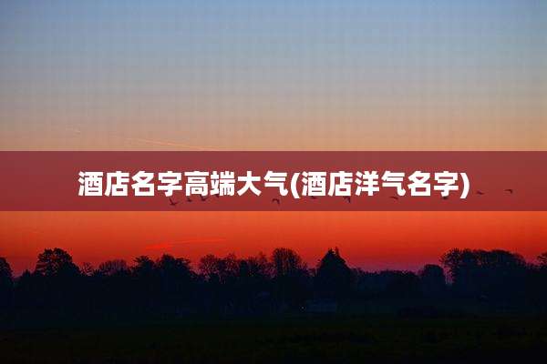 酒店名字高端大气(酒店洋气名字)