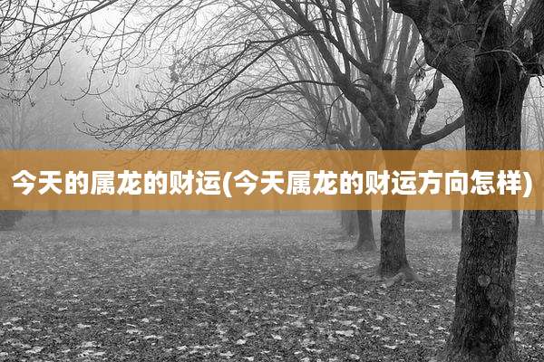 今天的属龙的财运(今天属龙的财运方向怎样)