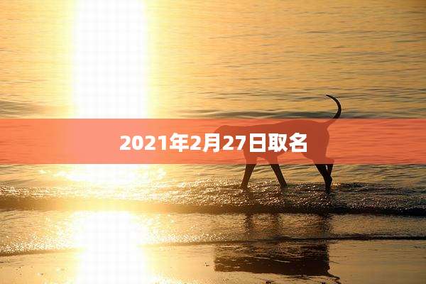 2021年2月27日取名