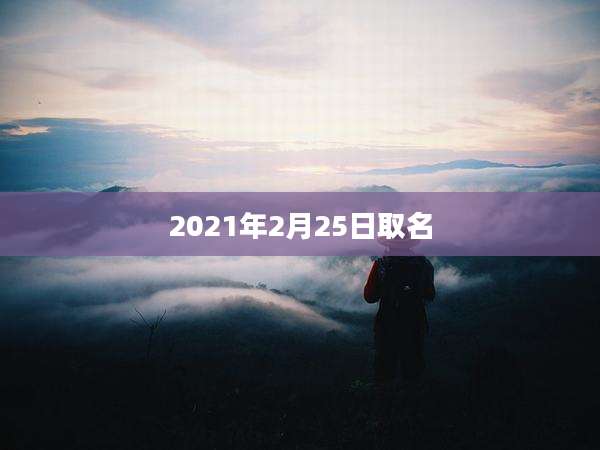 2021年2月25日取名