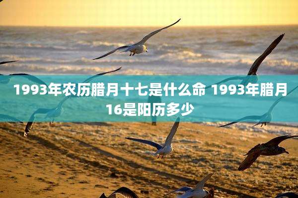 1993年农历腊月十七是什么命 1993年腊月16是阳历多少