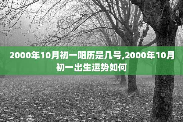 2000年10月初一阳历是几号,2000年10月初一出生运势如何