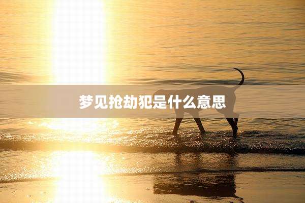 梦见抢劫犯是什么意思
