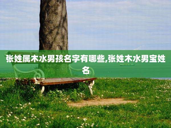 张姓属木水男孩名字有哪些,张姓木水男宝姓名