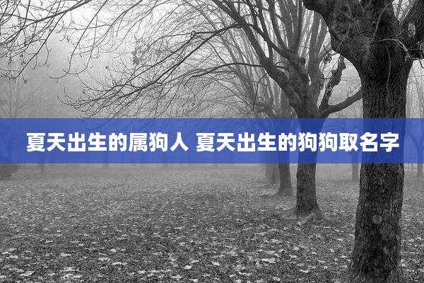 夏天出生的属狗人 夏天出生的狗狗取名字
