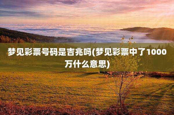 梦见彩票号码是吉兆吗(梦见彩票中了1000万什么意思)