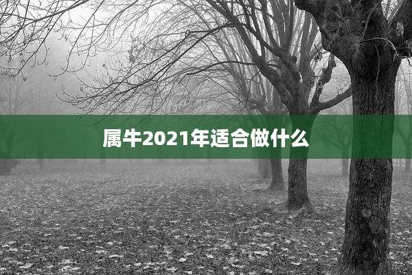 属牛2021年适合做什么