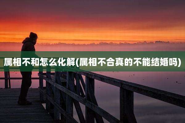 属相不和怎么化解(属相不合真的不能结婚吗)