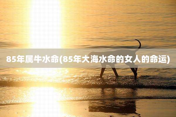 85年属牛水命(85年大海水命的女人的命运)