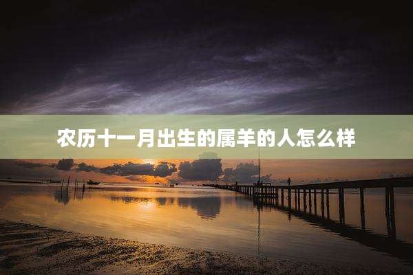 农历十一月出生的属羊的人怎么样