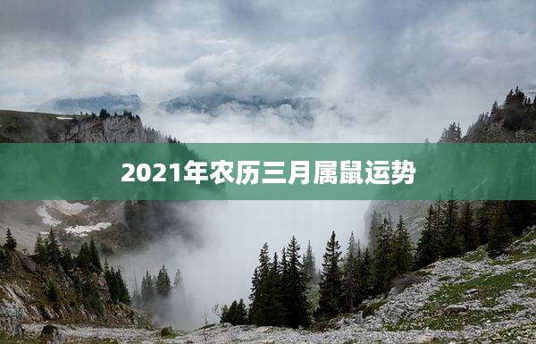 2021年农历三月属鼠运势