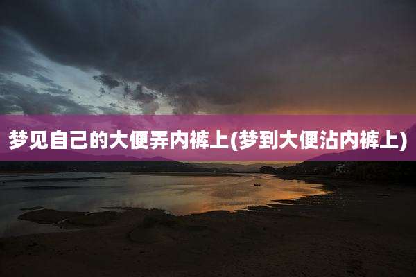梦见自己的大便弄内裤上(梦到大便沾内裤上)