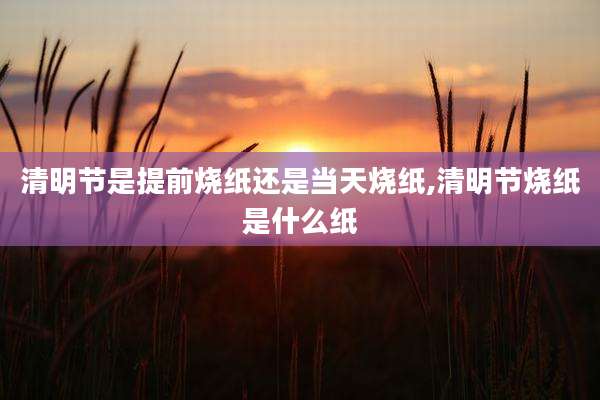 清明节是提前烧纸还是当天烧纸,清明节烧纸是什么纸