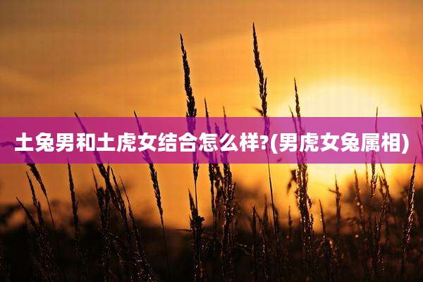 土兔男和土虎女结合怎么样?(男虎女兔属相)