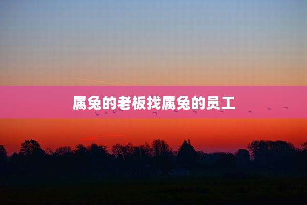 属兔的老板找属兔的员工
