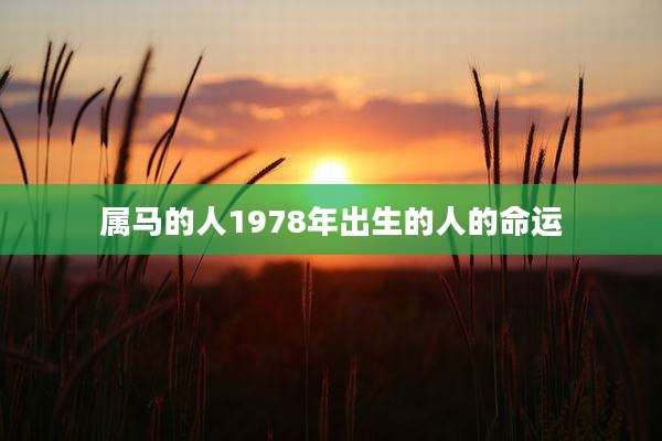 属马的人1978年出生的人的命运