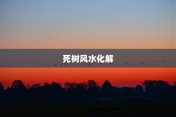 死树风水化解