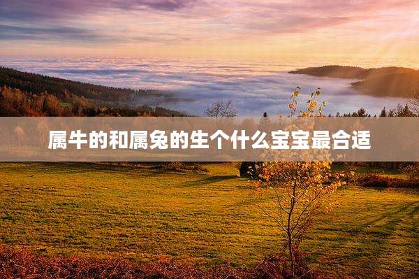 属牛的和属兔的生个什么宝宝最合适