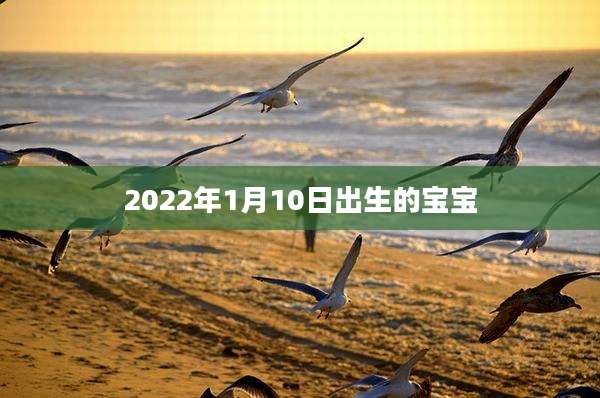 2022年1月10日出生的宝宝