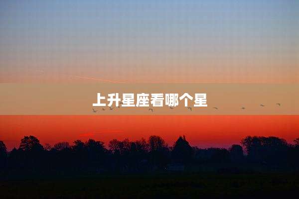 上升星座看哪个星