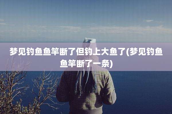 梦见钓鱼鱼竿断了但钓上大鱼了(梦见钓鱼鱼竿断了一条)