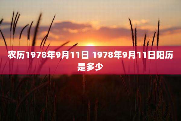 农历1978年9月11日 1978年9月11日阳历是多少