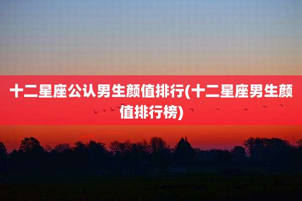 十二星座公认男生颜值排行(十二星座男生颜值排行榜)
