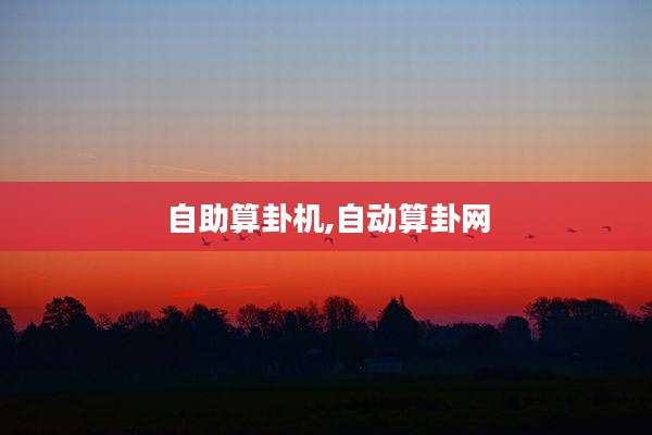 自助算卦机,自动算卦网