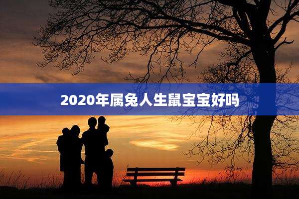 2020年属兔人生鼠宝宝好吗
