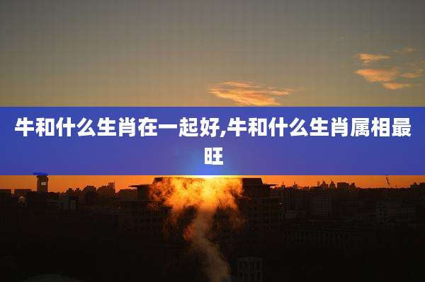 牛和什么生肖在一起好,牛和什么生肖属相最旺