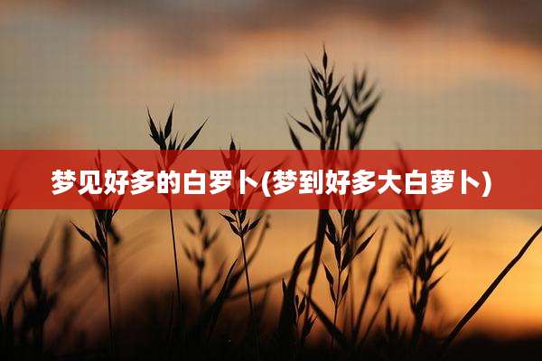 梦见好多的白罗卜(梦到好多大白萝卜)