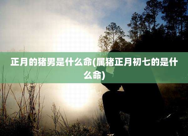 正月的猪男是什么命(属猪正月初七的是什么命)