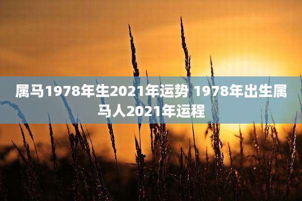 属马1978年生2021年运势 1978年出生属马人2021年运程