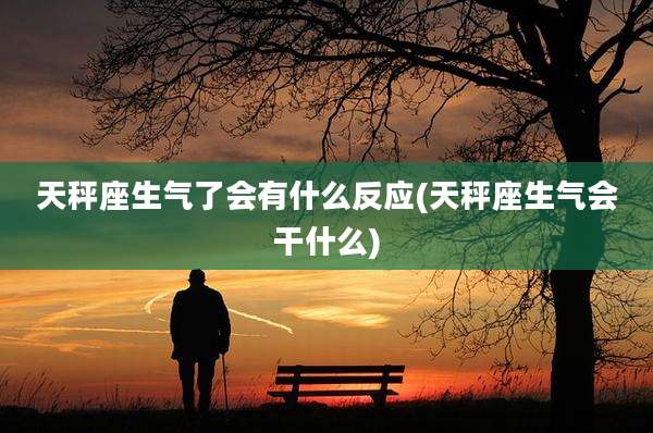 天秤座生气了会有什么反应(天秤座生气会干什么)