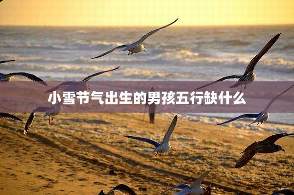 小雪节气出生的男孩五行缺什么