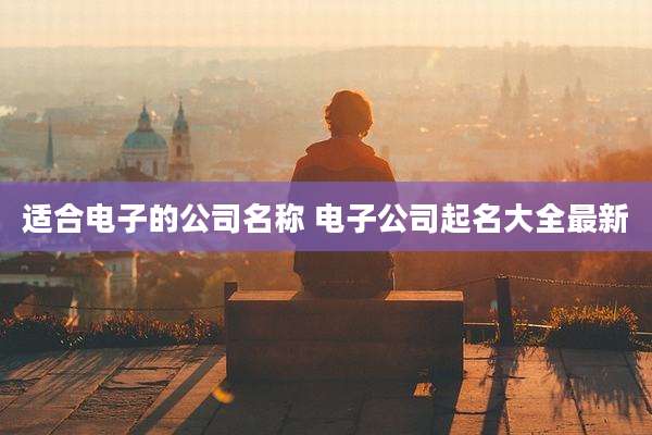 适合电子的公司名称 电子公司起名大全最新