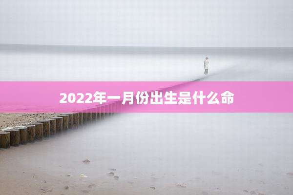 2022年一月份出生是什么命