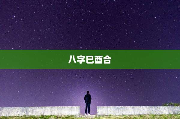 八字巳酉合