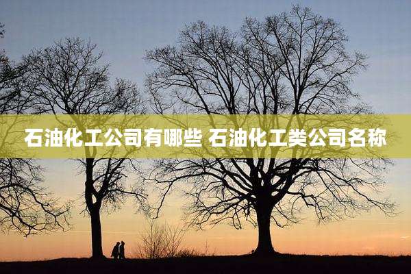 石油化工公司有哪些 石油化工类公司名称