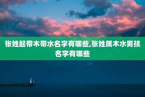 张姓起带木带水名字有哪些,张姓属木水男孩名字有哪些