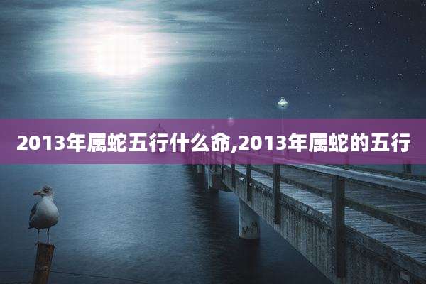 2013年属蛇五行什么命,2013年属蛇的五行
