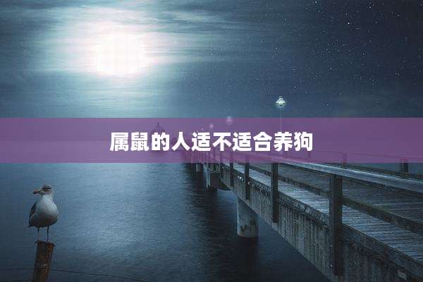 属鼠的人适不适合养狗