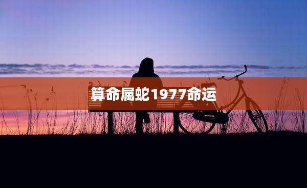 算命属蛇1977命运