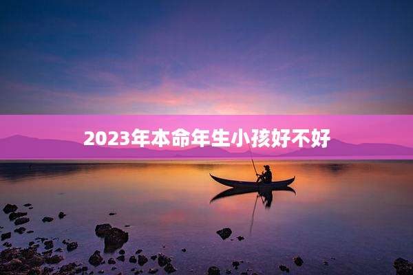 2023年本命年生小孩好不好