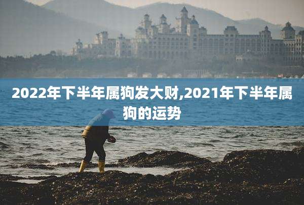 2022年下半年属狗发大财,2021年下半年属狗的运势
