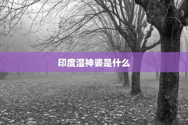 印度湿神婆是什么