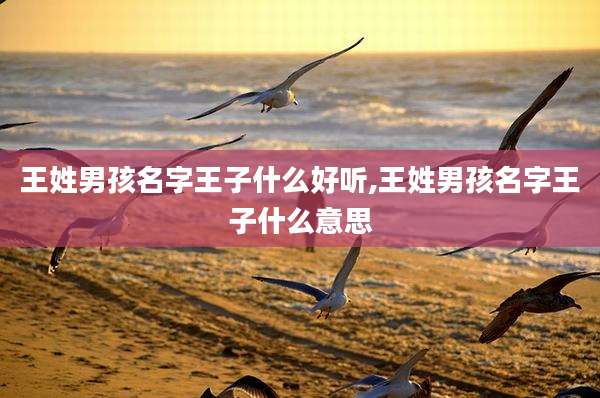 王姓男孩名字王子什么好听,王姓男孩名字王子什么意思