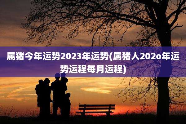 属猪今年运势2023年运势(属猪人202o年运势运程每月运程)